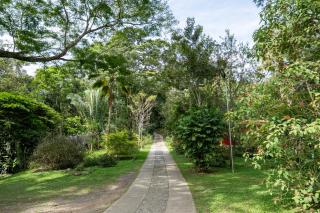Tinamu Birding - La Manuelita - 8