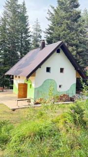 Blueberry Mountain House - 9