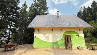 Blueberry Mountain House - 2