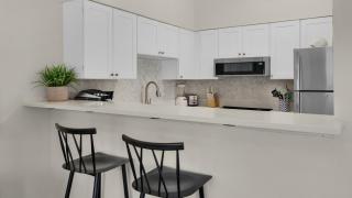 Palms B4 - 2