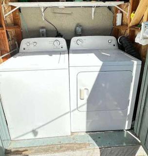 Central Berkeley Garden Oasis - 4