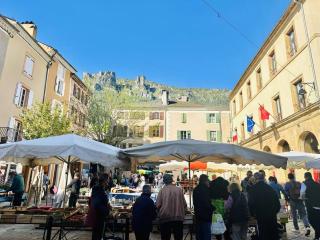 Confort et élégance au cœur de Florac - Florac - 1