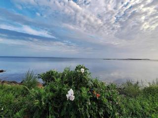 4 person holiday home on a holiday park in Bogense - Bogense - 6