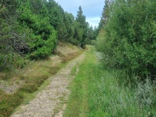 Luxury Retreat on Romo - By Traum Ferienwohnungen - 2