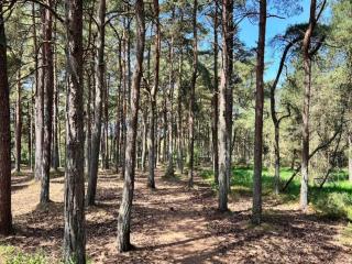 Luxury Retreat on Romo - By Traum Ferienwohnungen - 5