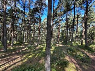 Luxury Retreat on Romo - By Traum Ferienwohnungen - 1