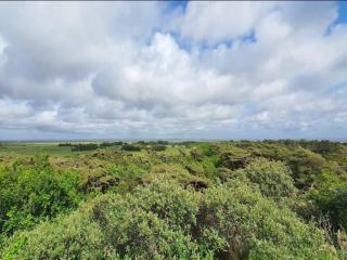 6 person holiday home in Rømø - 3