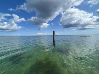 4 person holiday home in Frørup-By Traum - 7