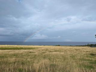 4 person holiday home in Frørup-By Traum - 6