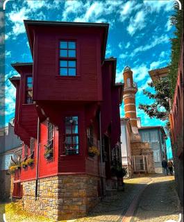 An Istanbul tale, an Istanbul dream, garden house - Istanbul - 4
