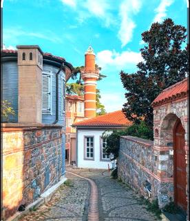An Istanbul tale, an Istanbul dream, garden house - Istanbul - 5