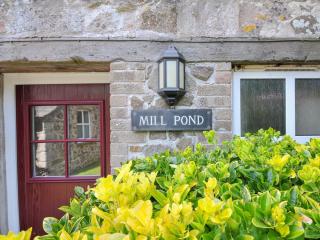 Mill Pond - Saint Minver - 9