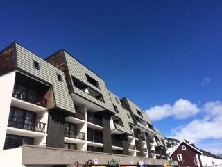 Résidence Praya - Appartement en front de neige - Face aux pistes MAE-8533 - Montgenèvre - 9