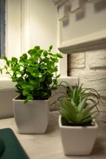 The Comfy Cottage - 7