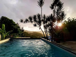 Bas de villa l'Anolis avec piscine privée - 0