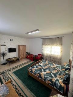 Abuawad Rental - Jerash - 8