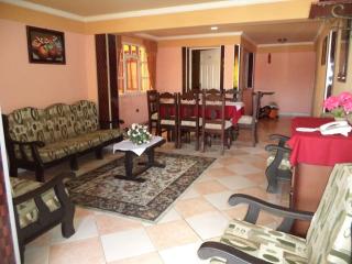 Apart Hotel Turquesa - Potosí - 8
