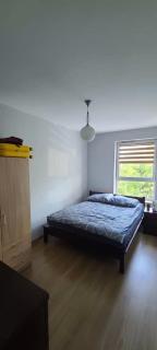 Cosy one bedroom apartment - Tomaszów Mazowiecki - 1