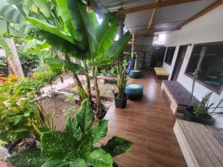 Galapagos Morning Glory - 4