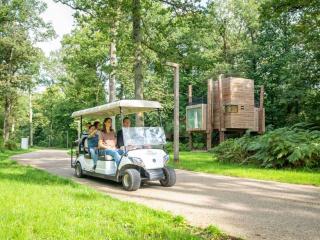 Stylish Stay with Sauna - - 9