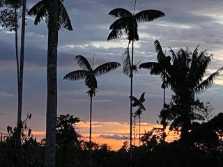 quinta el shaddai - 1