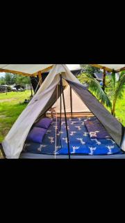 Eco Beach Can GIo - 3