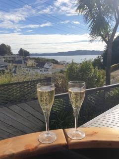 Relax in Hawai - Taupo - 4