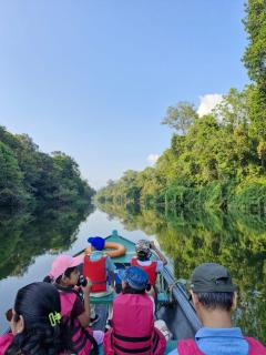 Birds Murmur camp - 6