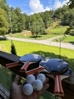 Smoky Mountains FamiLee Cabin in Wears Valley 2/2 - 5