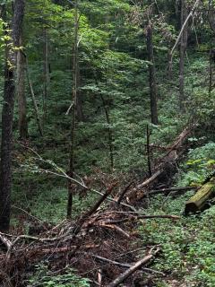 Smoky Mountains FamiLee Cabin in Wears Valley 2/2 - 7