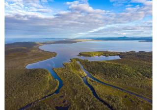 Charming Lakeside Retreat - Cootharaba - 1