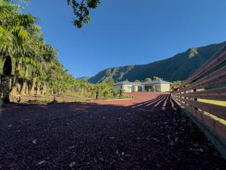 Chambres d'hôte à la ferme proche Grand Etang - Saint Benoît - FR-1-786-61 - 8