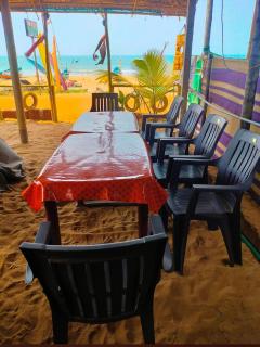 Dolphin beach stay - 7