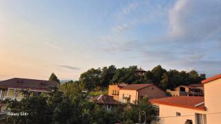 Telavi baadur Balarjishvilis 9 - 6