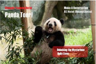 Chengdu Yueming Hotel,2-minute walk to Zhongba Subway ,close to Kuanzhai Alley and Chunxi Road,Free laundry, Free coffee, Chengdu food,English communication well,Private travel advice - 8