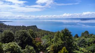 Pukawa Bliss - Pukawa Holiday Home - 0