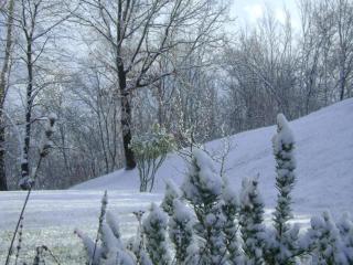 Cottage in Italy with Alpine Fireplace - Ponte nellʼAlpi - 9
