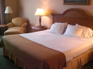 Holiday Inn Express Hotel and Suites Alice by IHG - Alice - 6