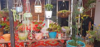 Ultima Thule Studio, South Durras - 7