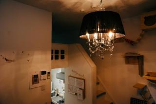 Designer's apartment polaris 102 - Vacation STAY 13315 - 7