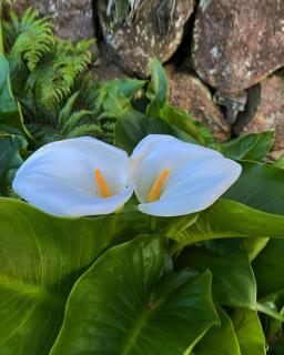 TEMA-HIMA - Vacation STAY 49744v - 2