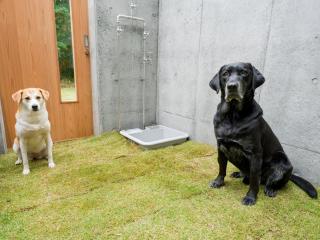 Rakuten STAY VILLA Kamogawa Building A with Pool and Terrace and sauna Capacity of 12 persons Pets allowed - 6