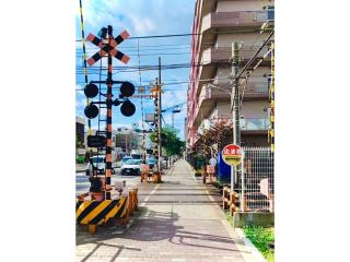 KAN NO SU NO,1 - Vacation STAY 14024 - 8