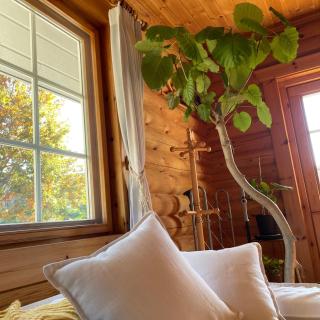'OLI' OLI tree - Vacation STAY 39608v - 3