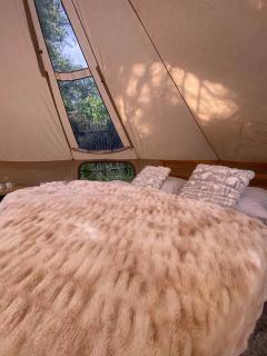 Hvězdný glamping - 8