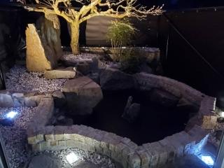 Natural open-air hot spring Chizu - Vacation STAY 16412v - 8