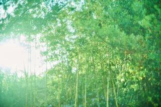 HERMiT ihinomiya - Vacation STAY 27951v - 4