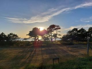 4 person holiday home in Store Fuglede - 3