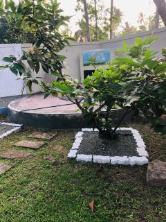 Coco Breeze Villa - 7