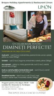 Brasov Holiday Apartments - 6